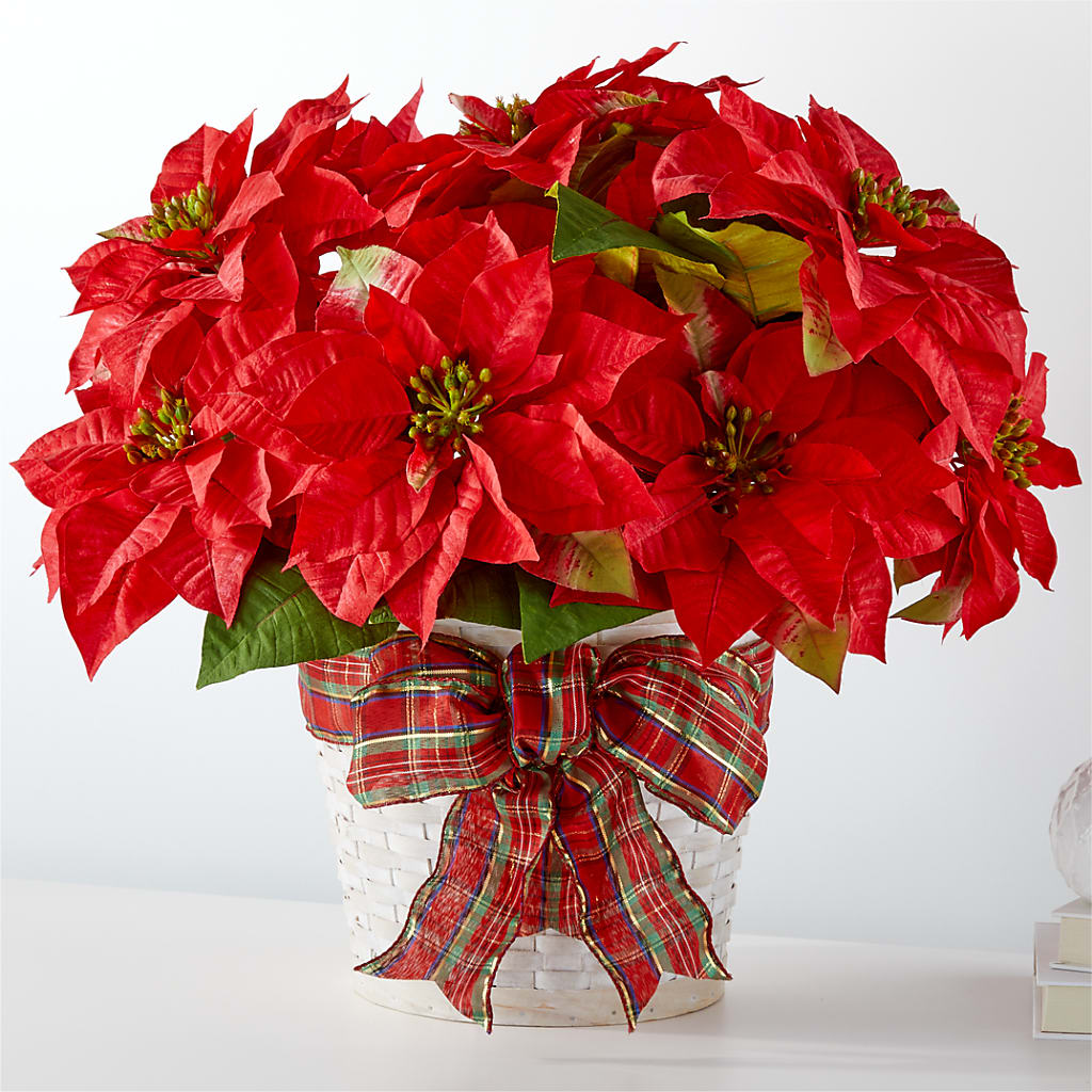 Happiest Holidays Poinsettia – STEMZ FLORIST & TREASURES, Calgary AB