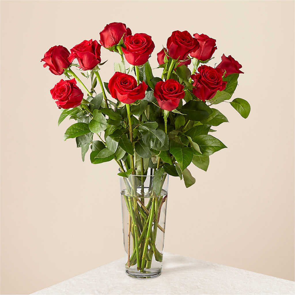 Long Stem Red Rose Bouquet – STEMZ FLORIST & TREASURES, Calgary AB