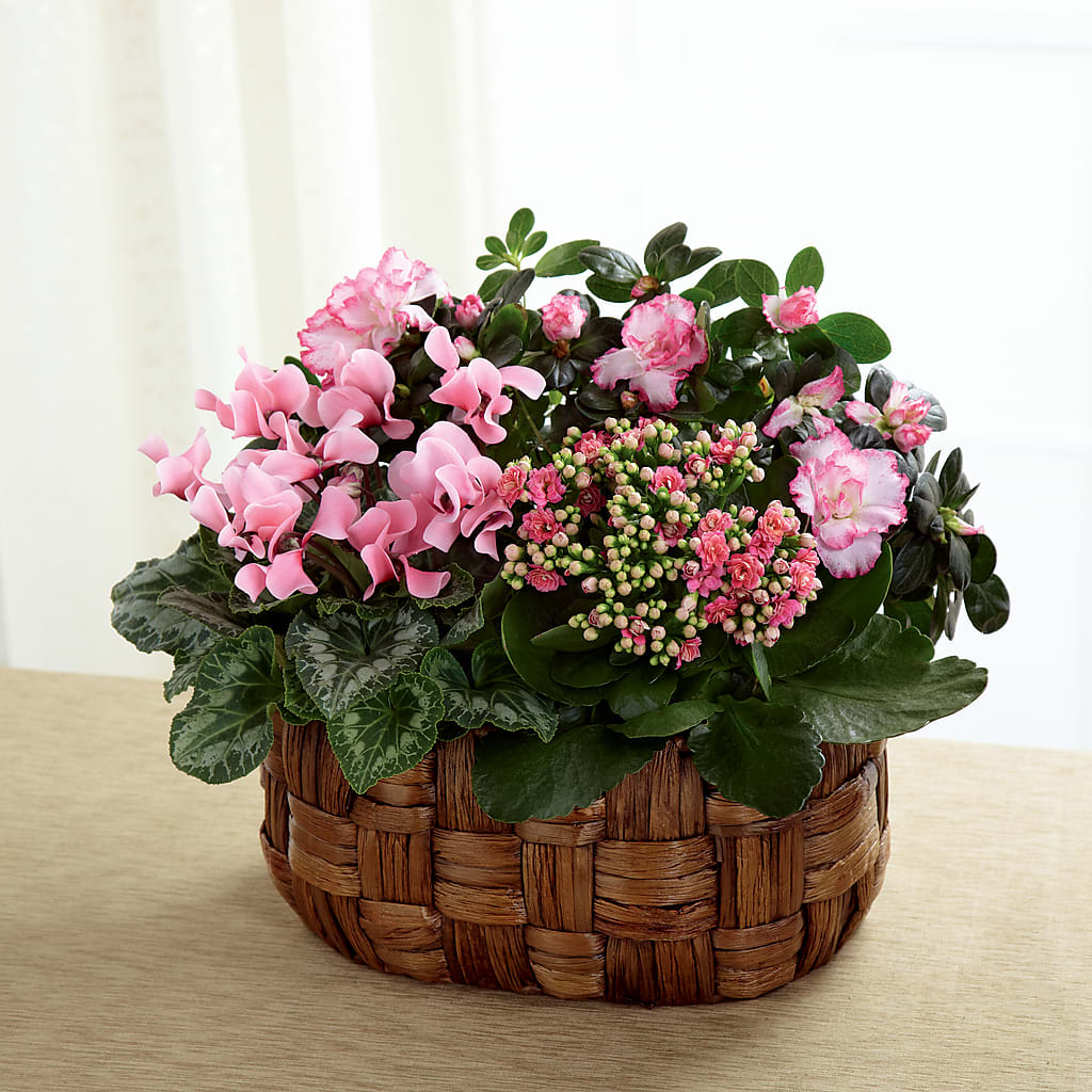 Pink Assortment – STEMZ FLORIST & TREASURES, Calgary AB