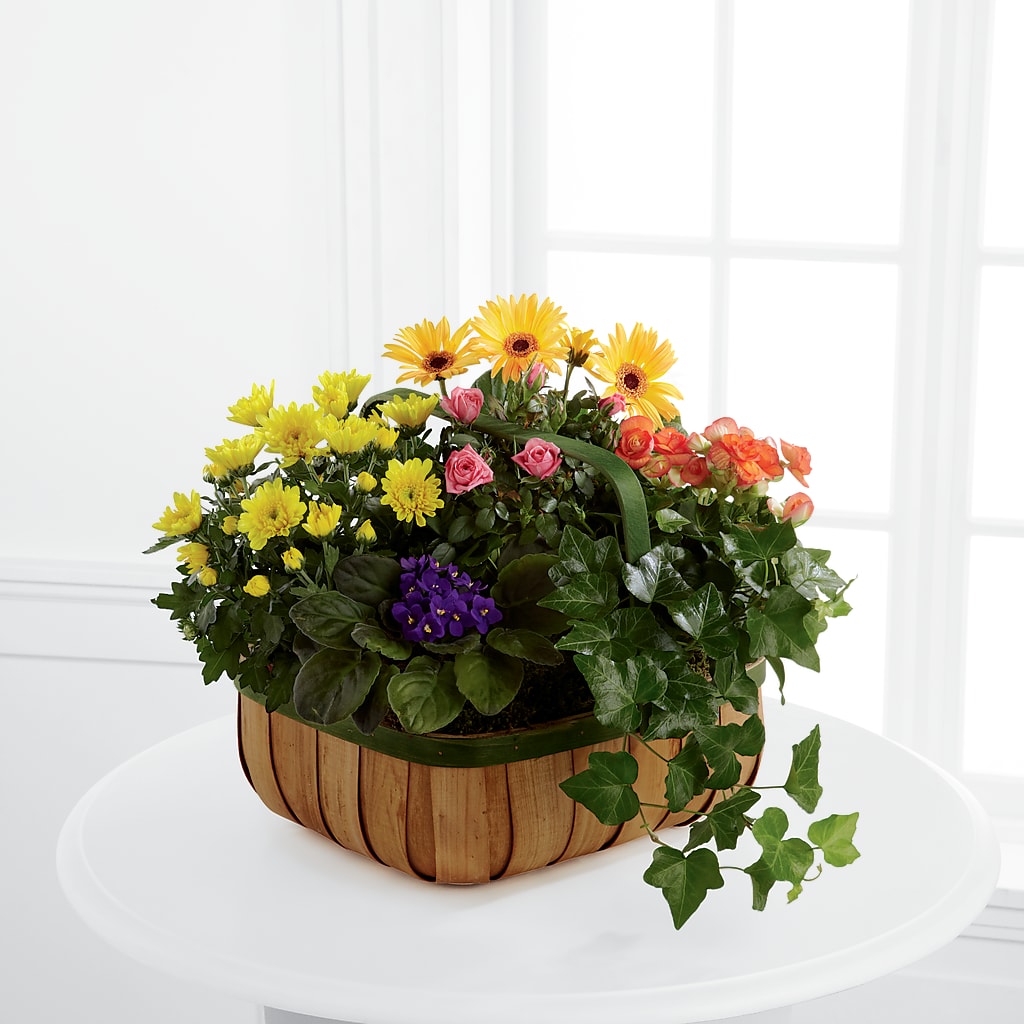 Gentle Blossoms Basket – STEMZ FLORIST & TREASURES, Calgary AB
