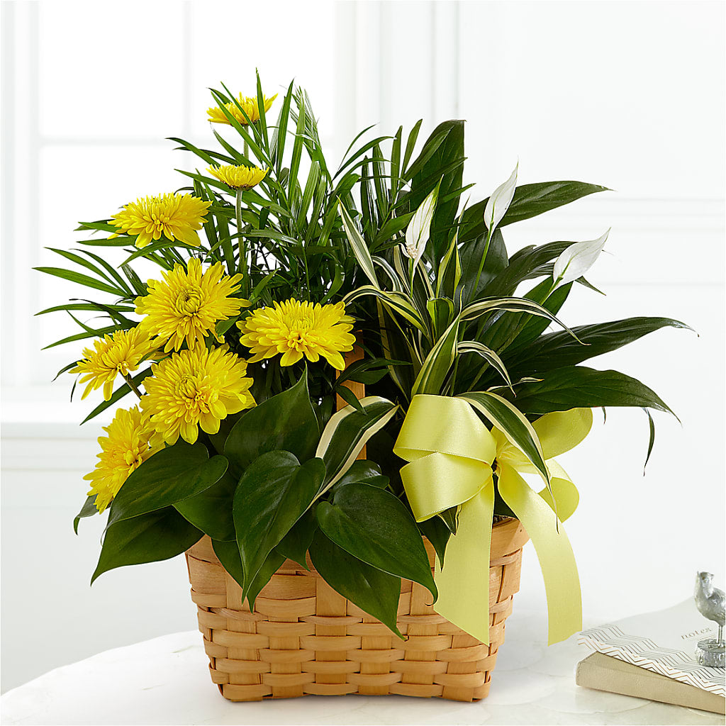 Loving Light Dishgarden – STEMZ FLORIST & TREASURES, Calgary AB