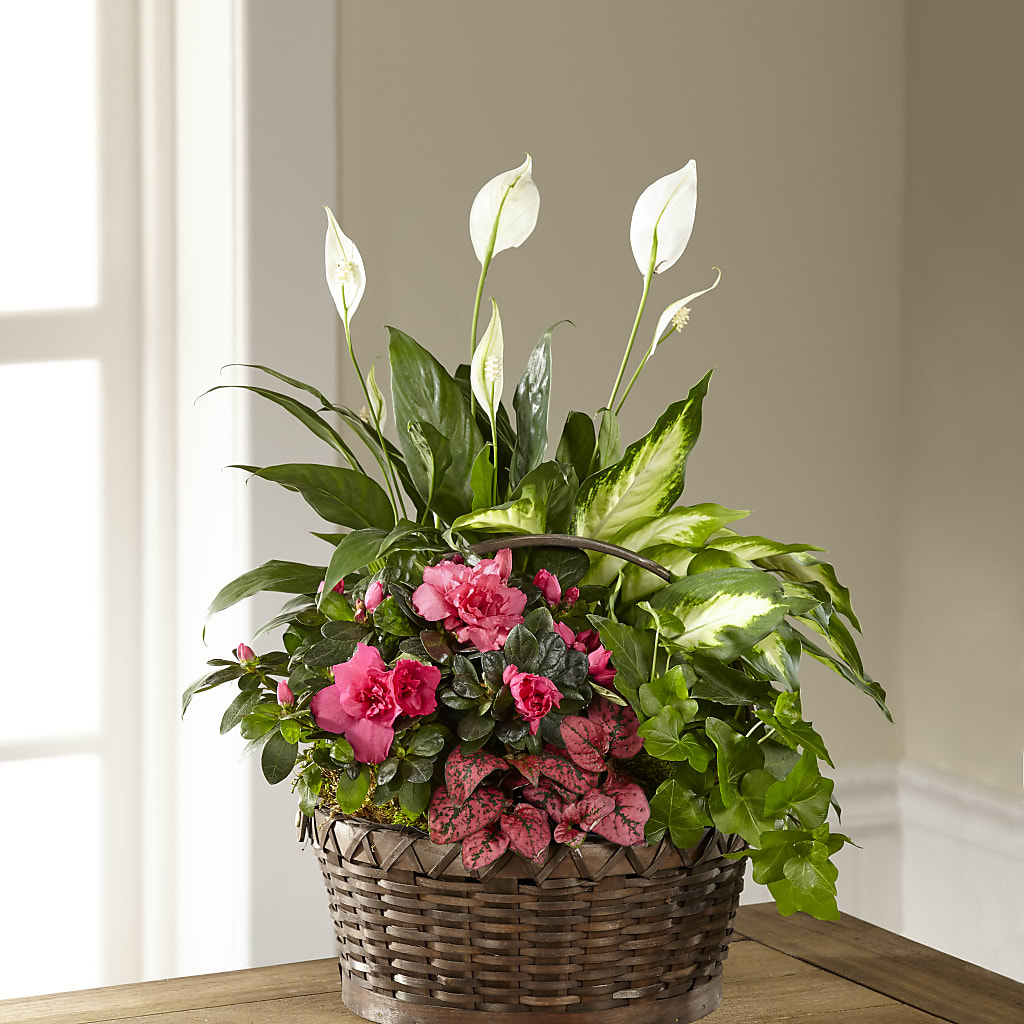 Dream in Pink Dishgarden – STEMZ FLORIST & TREASURES, Calgary AB