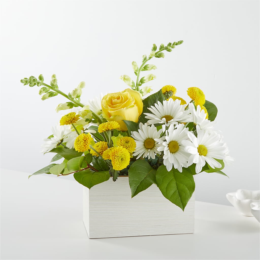 Sun Salutation Box Bouquet – STEMZ FLORIST & TREASURES, Calgary AB