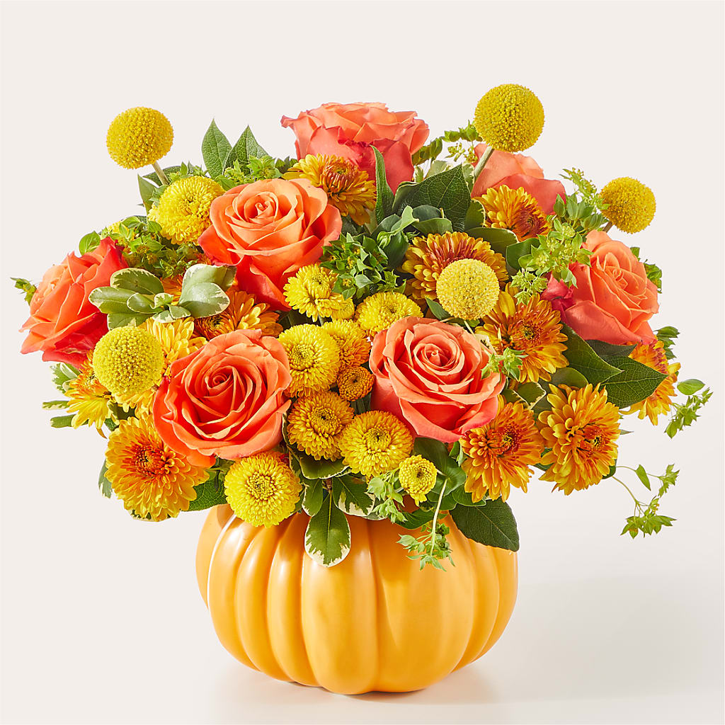 Gourdgeous Pumpkin – STEMZ FLORIST & TREASURES, Calgary AB