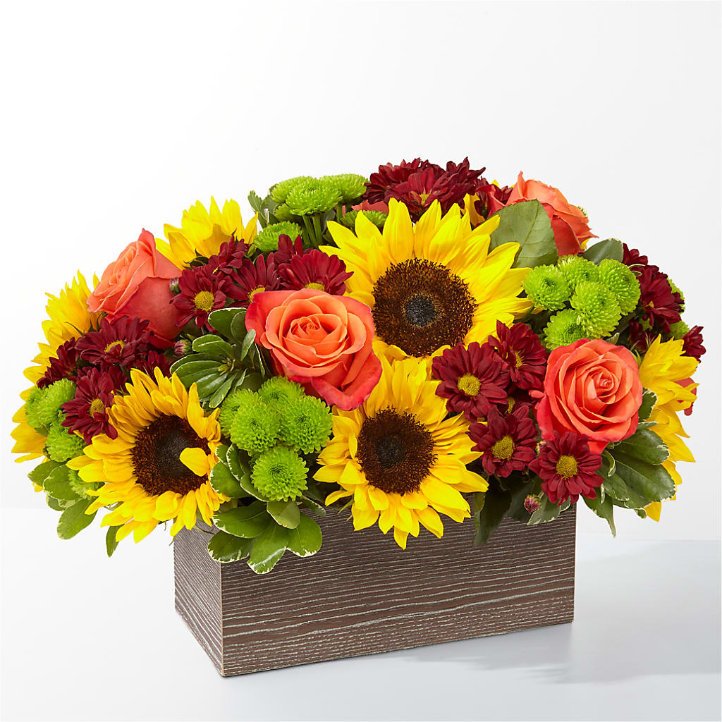 Happy Harvest Garden – STEMZ FLORIST & TREASURES, Calgary AB