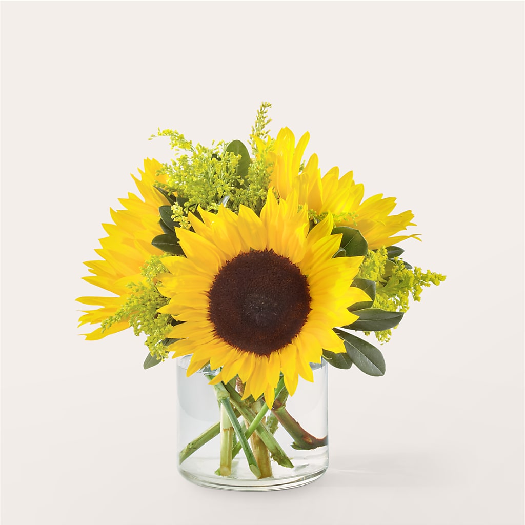 Beaming Sunflower Bouquet – STEMZ FLORIST & TREASURES, Calgary AB