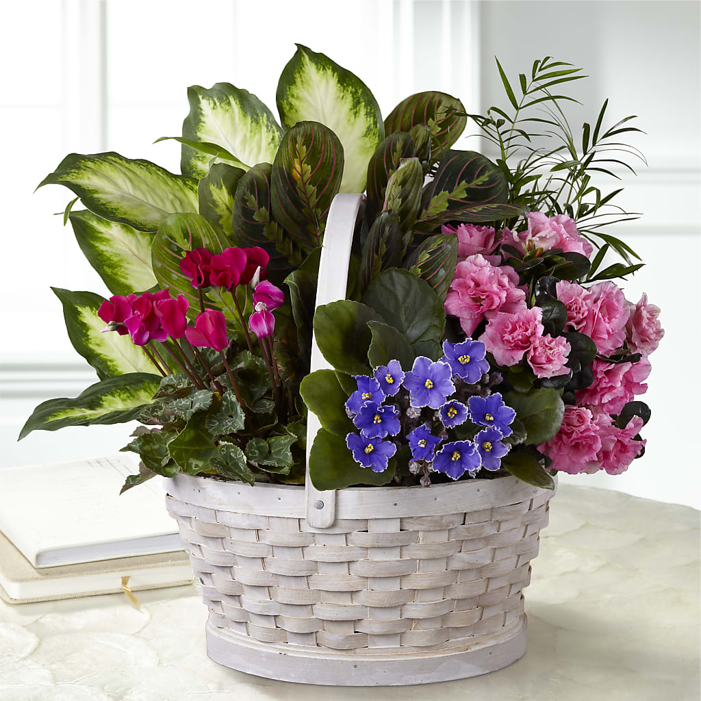 Peaceful Garden Planter – STEMZ FLORIST & TREASURES, Calgary AB