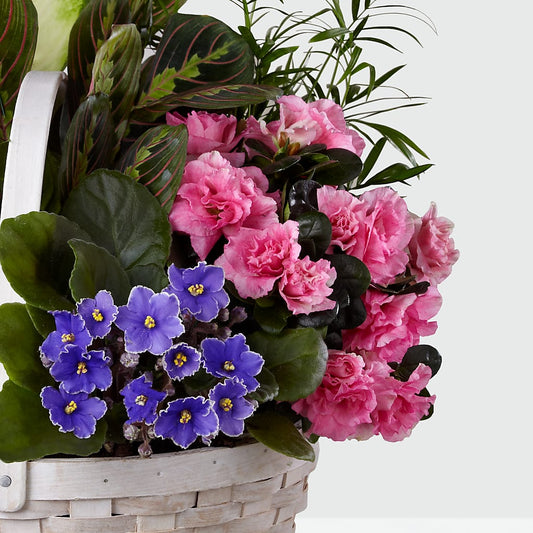 Peaceful Garden Planter – STEMZ FLORIST & TREASURES, Calgary AB