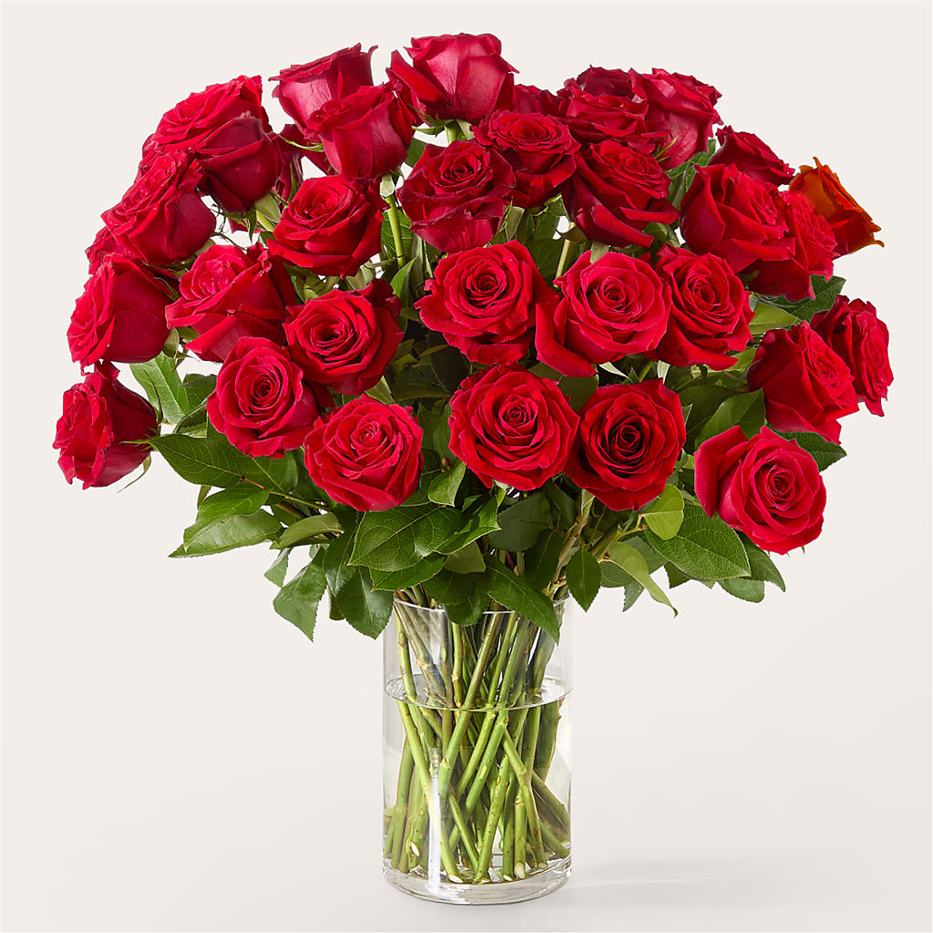 The One Red Rose Bouquet – STEMZ FLORIST & TREASURES, Calgary AB