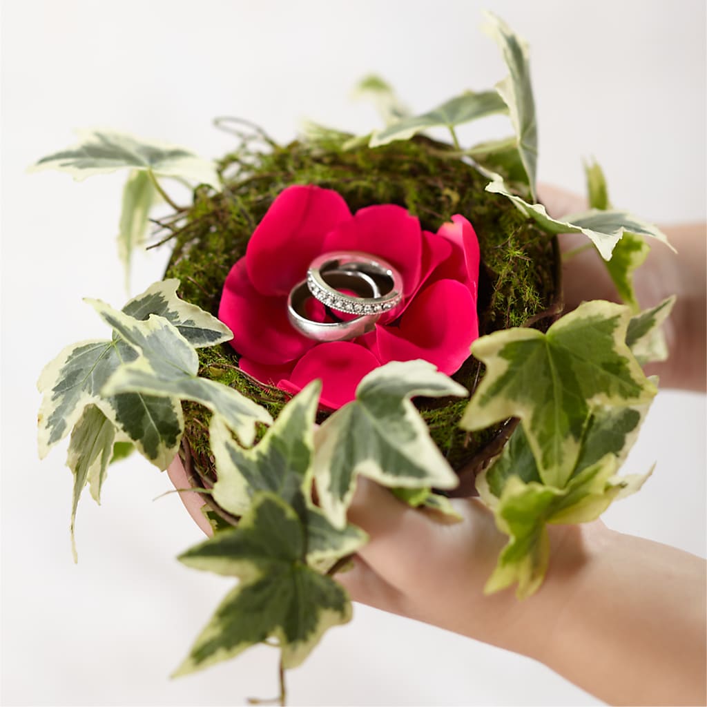 Lila Rose Ring Nest – STEMZ FLORIST & TREASURES, Calgary AB