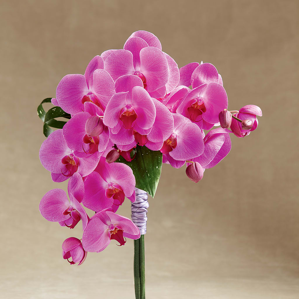 Glorious Bouquet – STEMZ FLORIST & TREASURES, Calgary AB