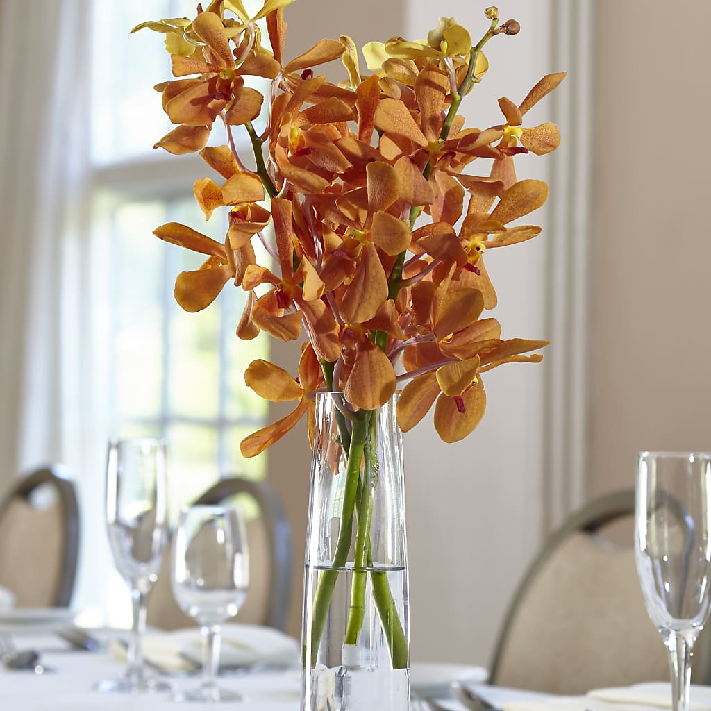 Orange Mokara Bud Vase – STEMZ FLORIST & TREASURES, Calgary AB