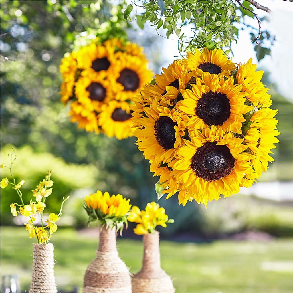Sublime Garden Hanging Arrangement – STEMZ FLORIST & TREASURES, Calgary AB