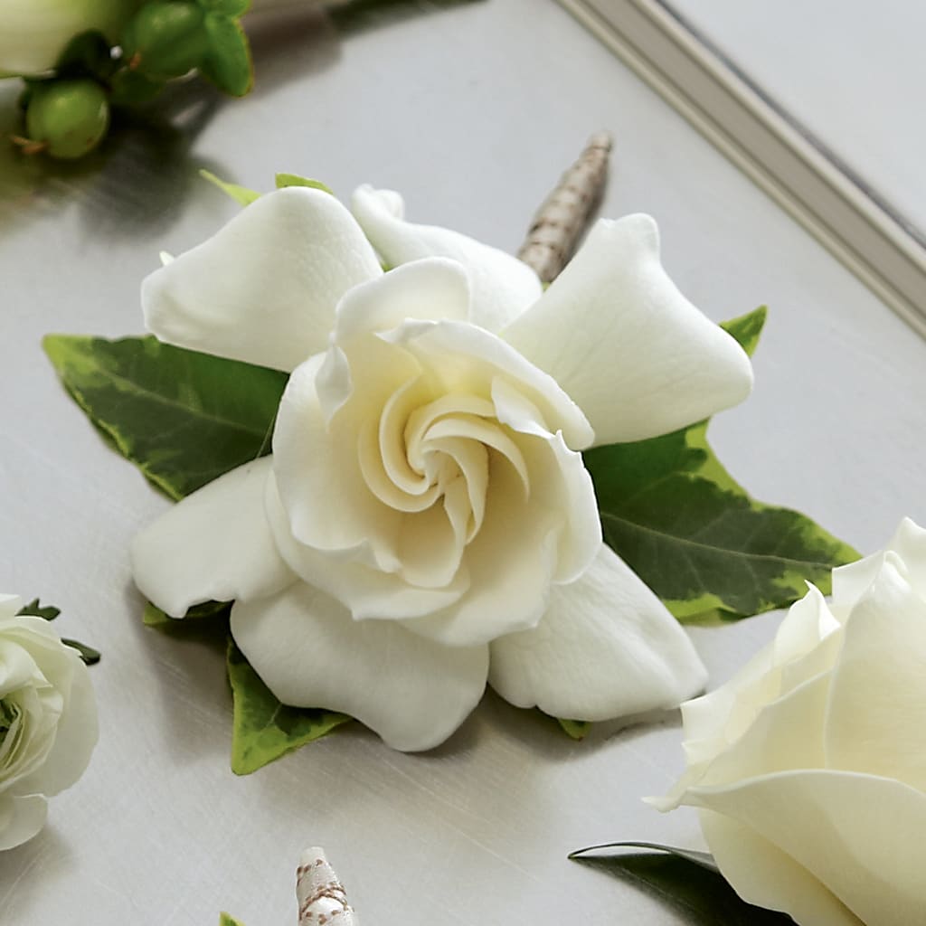 Gardenia Boutonniere – STEMZ FLORIST & TREASURES, Calgary AB
