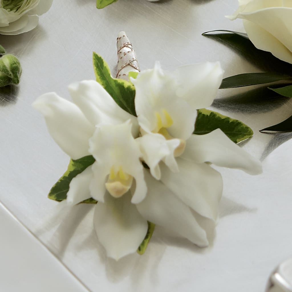 White Mini Cymbidium Boutonniere – STEMZ FLORIST & TREASURES, Calgary AB