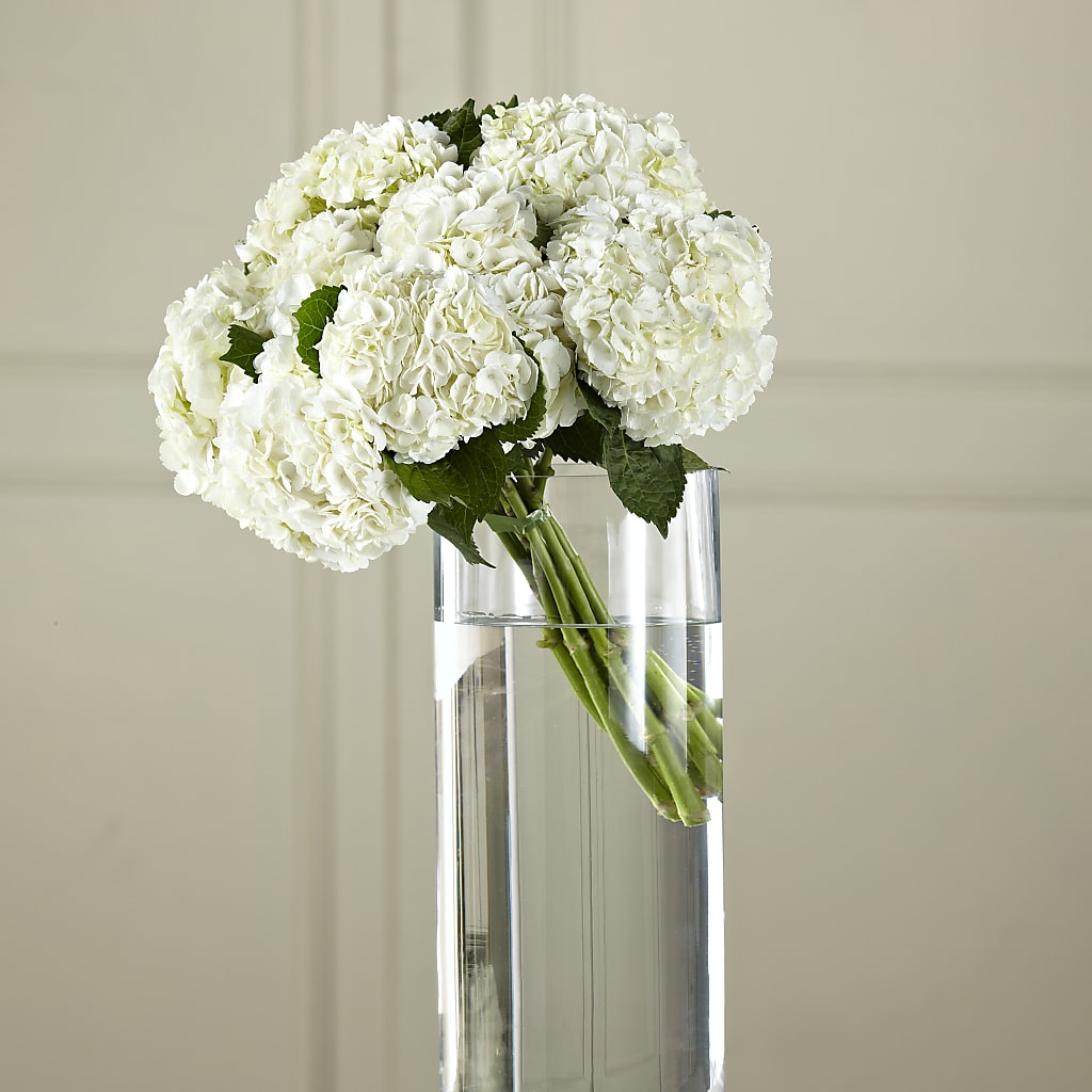 White Hydrangea Hand-Tied Bouquet – STEMZ FLORIST & TREASURES, Calgary AB