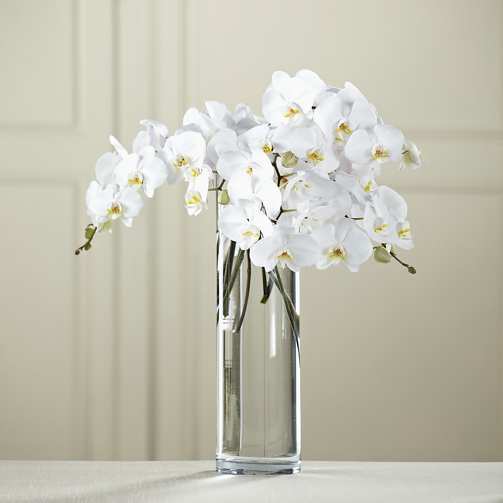 White Phalaenopsis Bouquet – STEMZ FLORIST & TREASURES, Calgary AB