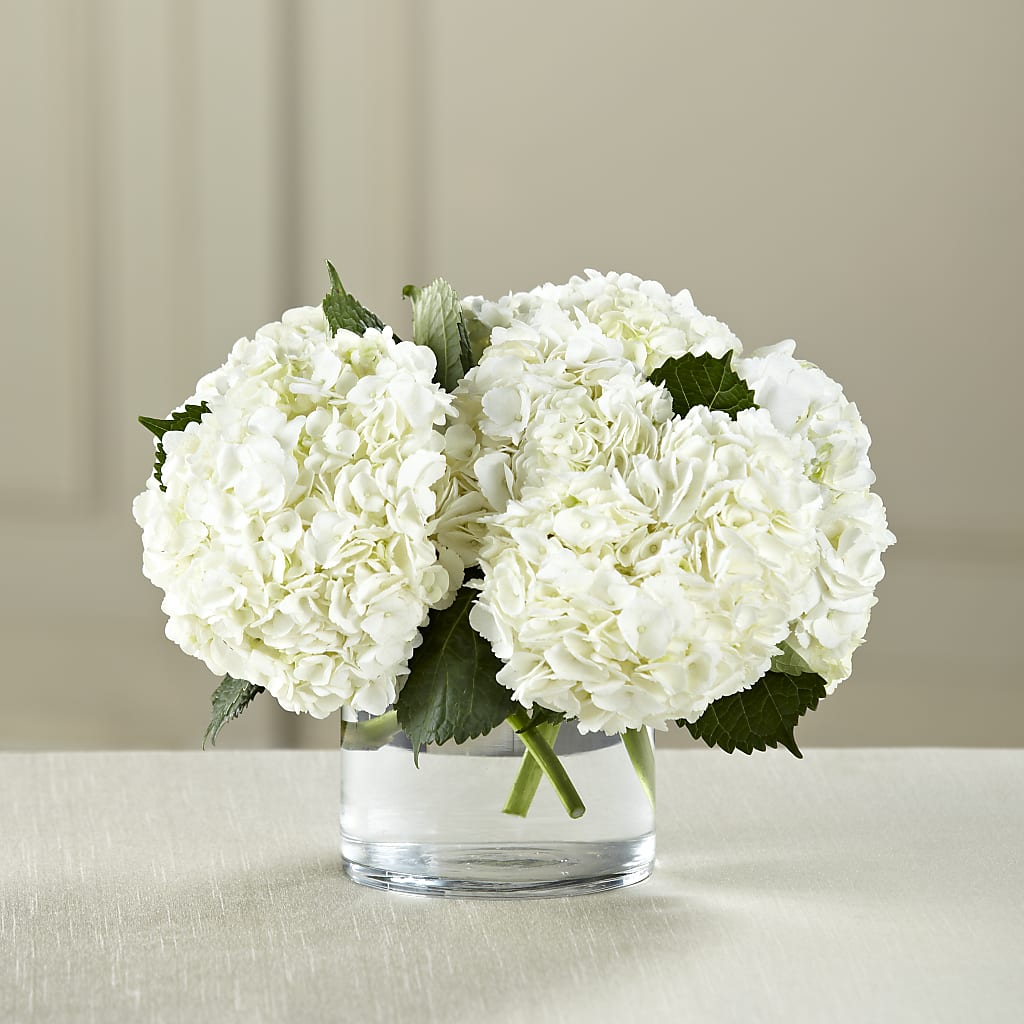 White Hydrangea Bouquet – STEMZ FLORIST & TREASURES, Calgary AB