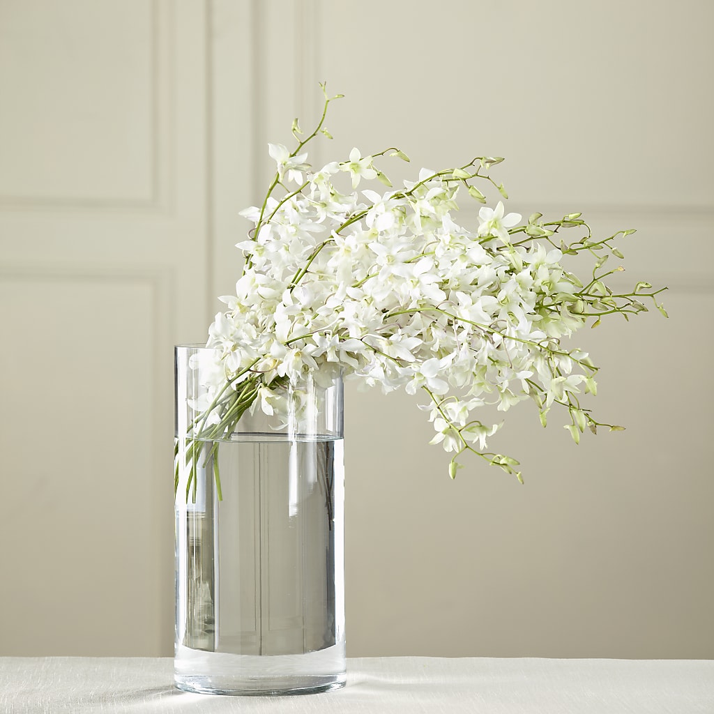 White Dendrobium Bouquet – STEMZ FLORIST & TREASURES, Calgary AB