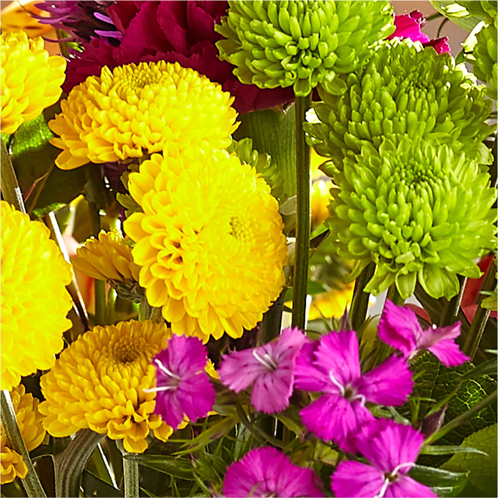 Bold & Bright – A Florist Original – STEMZ FLORIST & TREASURES, Calgary AB