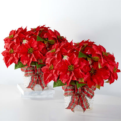 Happiest Holidays Poinsettia Bundle – STEMZ FLORIST & TREASURES, Calgary AB