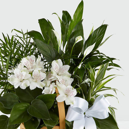 Peace & Serenity Dishgarden – STEMZ FLORIST & TREASURES, Calgary AB