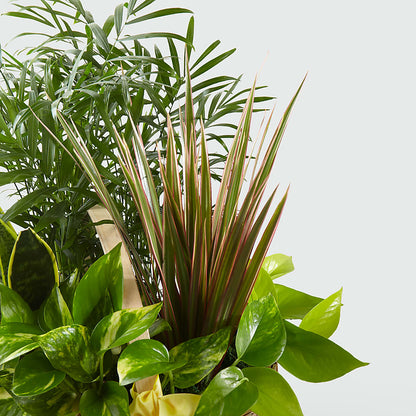 French Garden – STEMZ FLORIST & TREASURES, Calgary AB