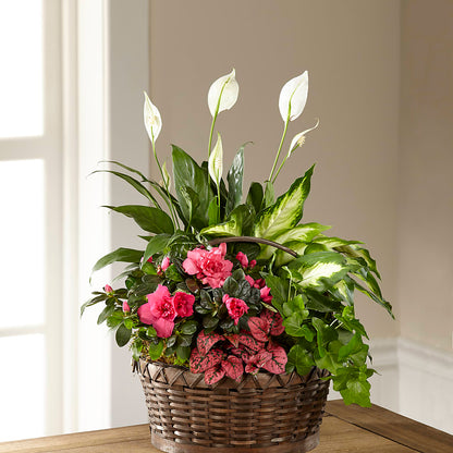 Dream in Pink Dishgarden – STEMZ FLORIST & TREASURES, Calgary AB