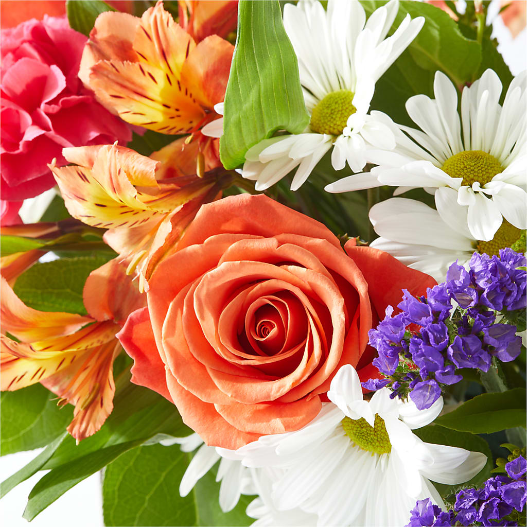 Oopsie Daisy Box Bouquet – STEMZ FLORIST & TREASURES, Calgary AB