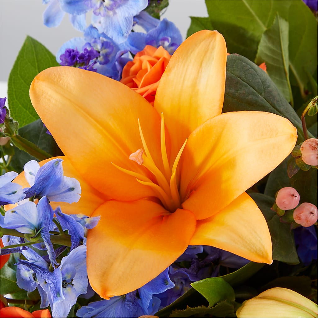 Radiant Citrus Box Bouquet – STEMZ FLORIST & TREASURES, Calgary AB