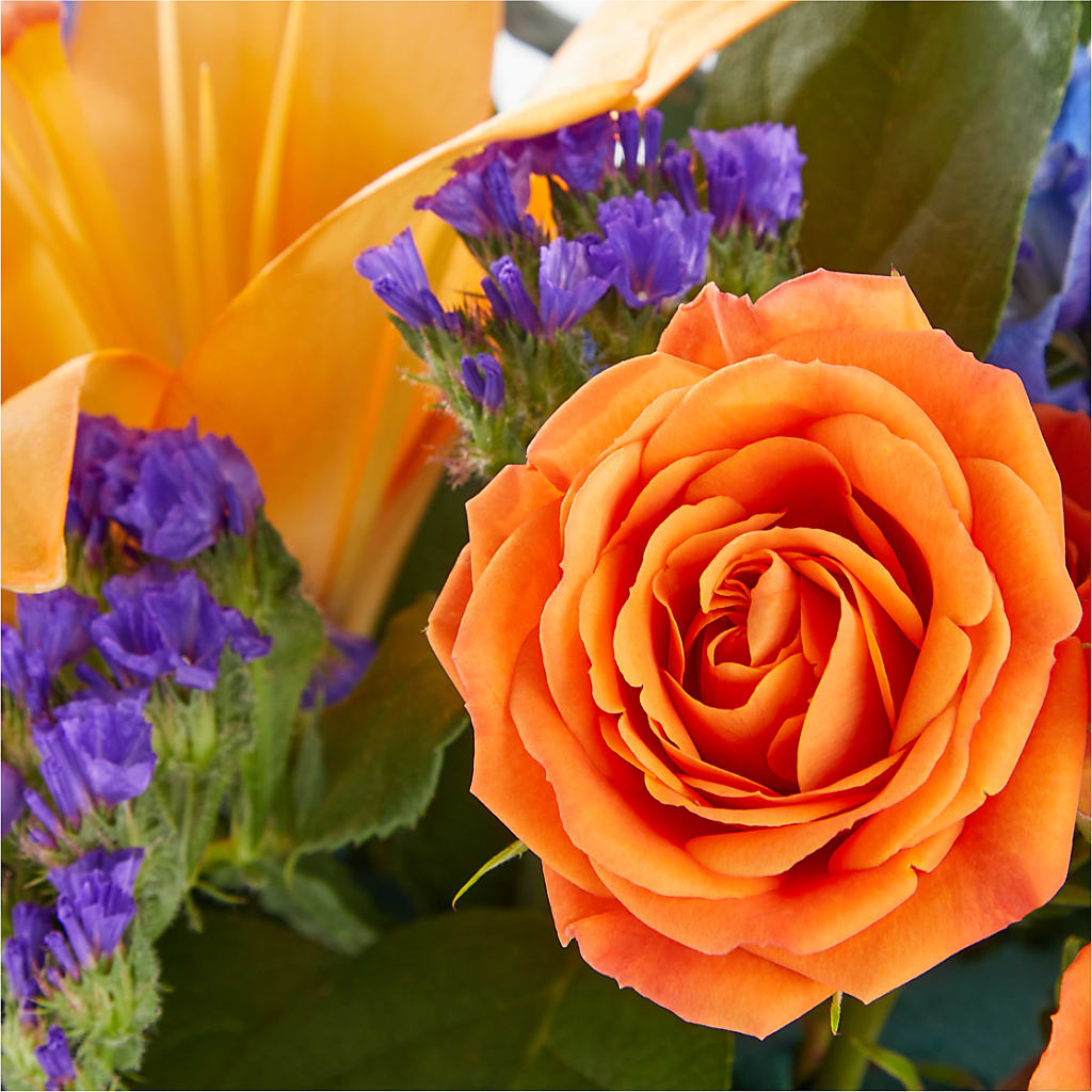 Radiant Citrus Box Bouquet – STEMZ FLORIST & TREASURES, Calgary AB
