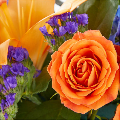 Radiant Citrus Box Bouquet – STEMZ FLORIST & TREASURES, Calgary AB