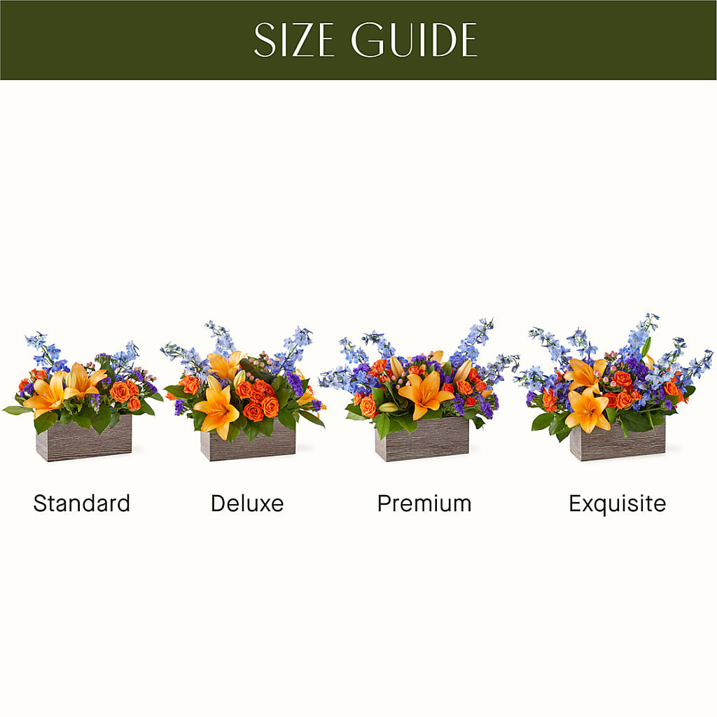 Radiant Citrus Box Bouquet – STEMZ FLORIST & TREASURES, Calgary AB