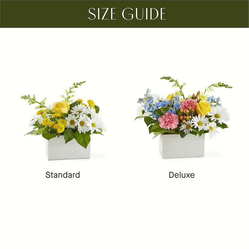 Sun Salutation Box Bouquet – STEMZ FLORIST & TREASURES, Calgary AB