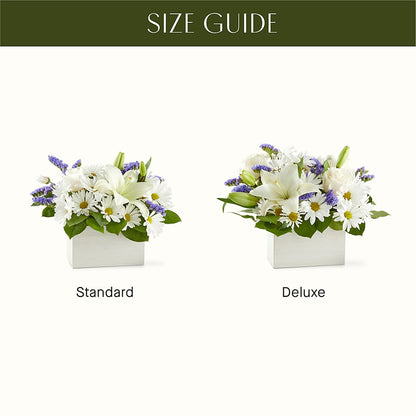 Beyond Blue Box Bouquet – STEMZ FLORIST & TREASURES, Calgary AB