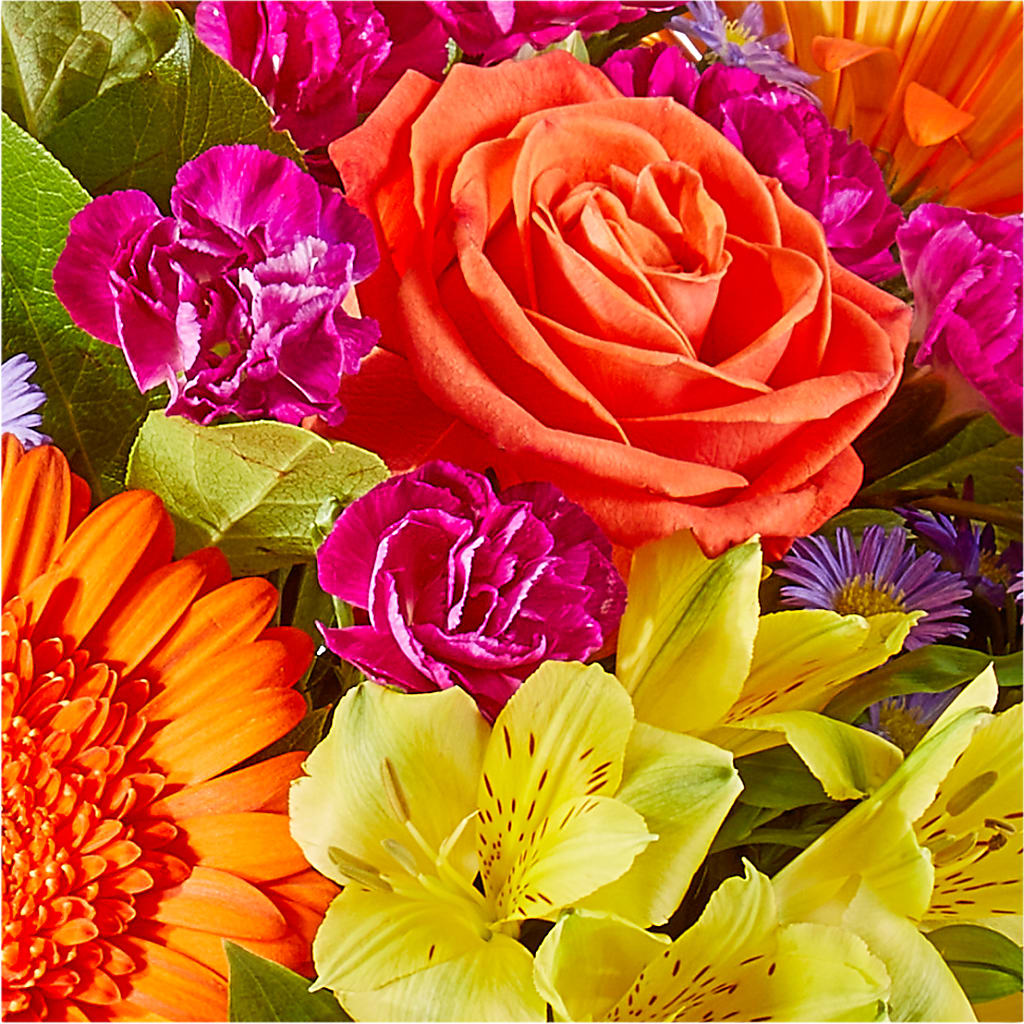 Tricks & Treats Pumpkin – STEMZ FLORIST & TREASURES, Calgary AB