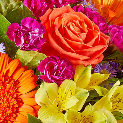 Tricks & Treats Pumpkin – STEMZ FLORIST & TREASURES, Calgary AB