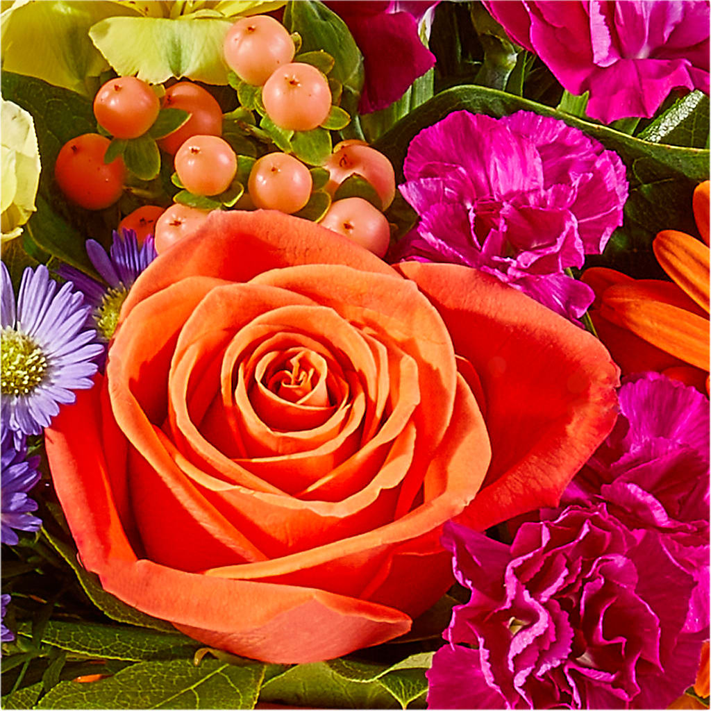 Tricks & Treats Pumpkin – STEMZ FLORIST & TREASURES, Calgary AB