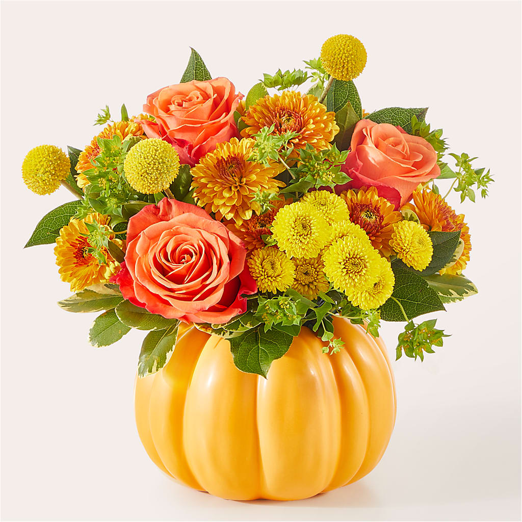Gourdgeous Pumpkin – STEMZ FLORIST & TREASURES, Calgary AB