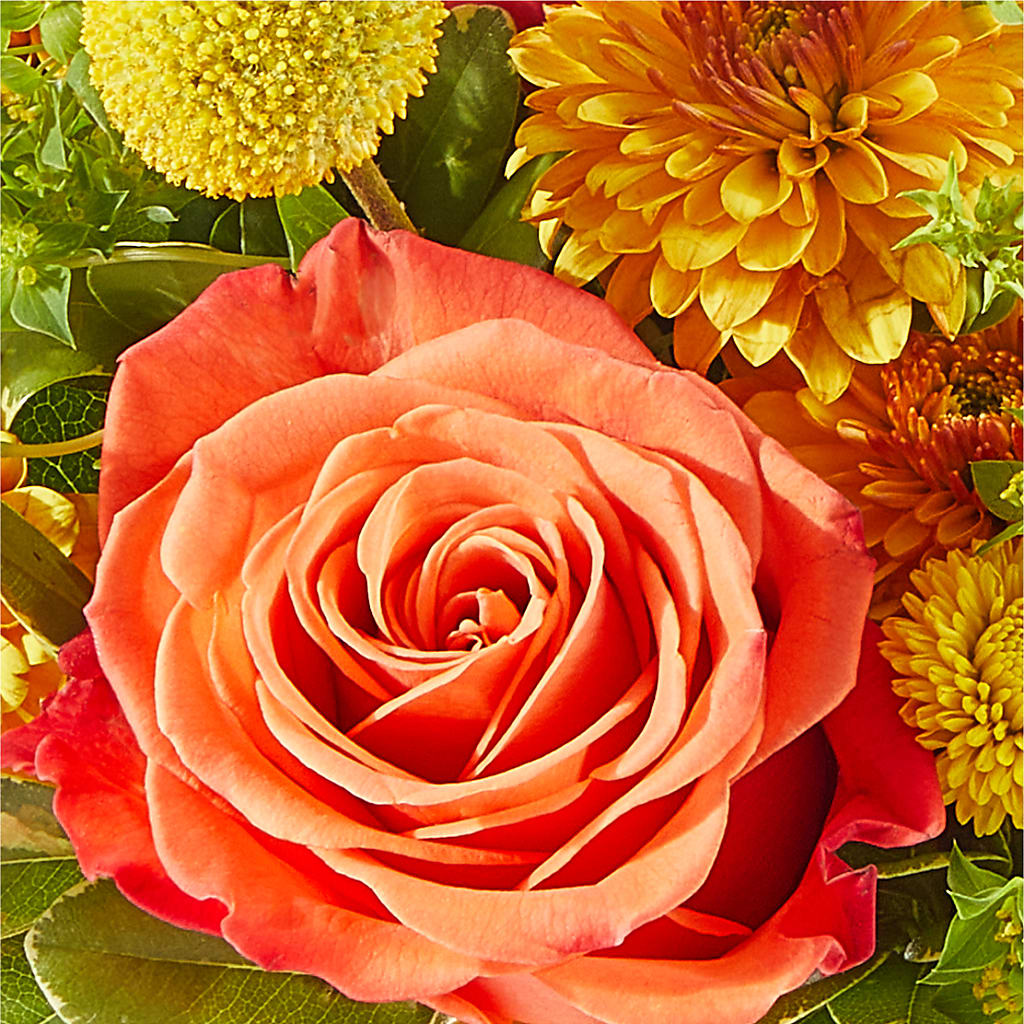 Gourdgeous Pumpkin – STEMZ FLORIST & TREASURES, Calgary AB