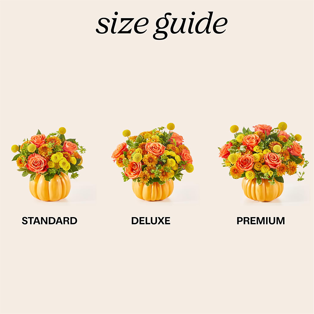 Gourdgeous Pumpkin – STEMZ FLORIST & TREASURES, Calgary AB