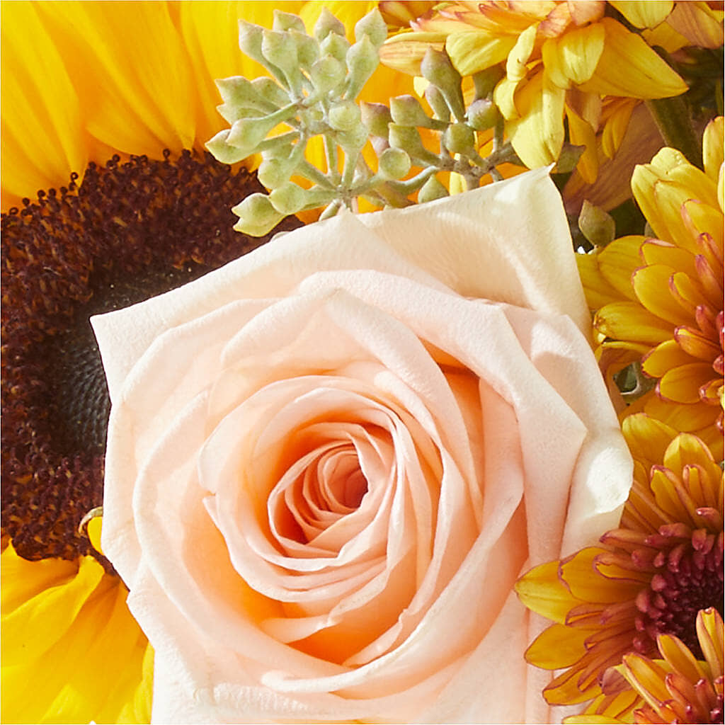 Pumpkin to Talk About Bouquet – STEMZ FLORIST & TREASURES, Calgary AB