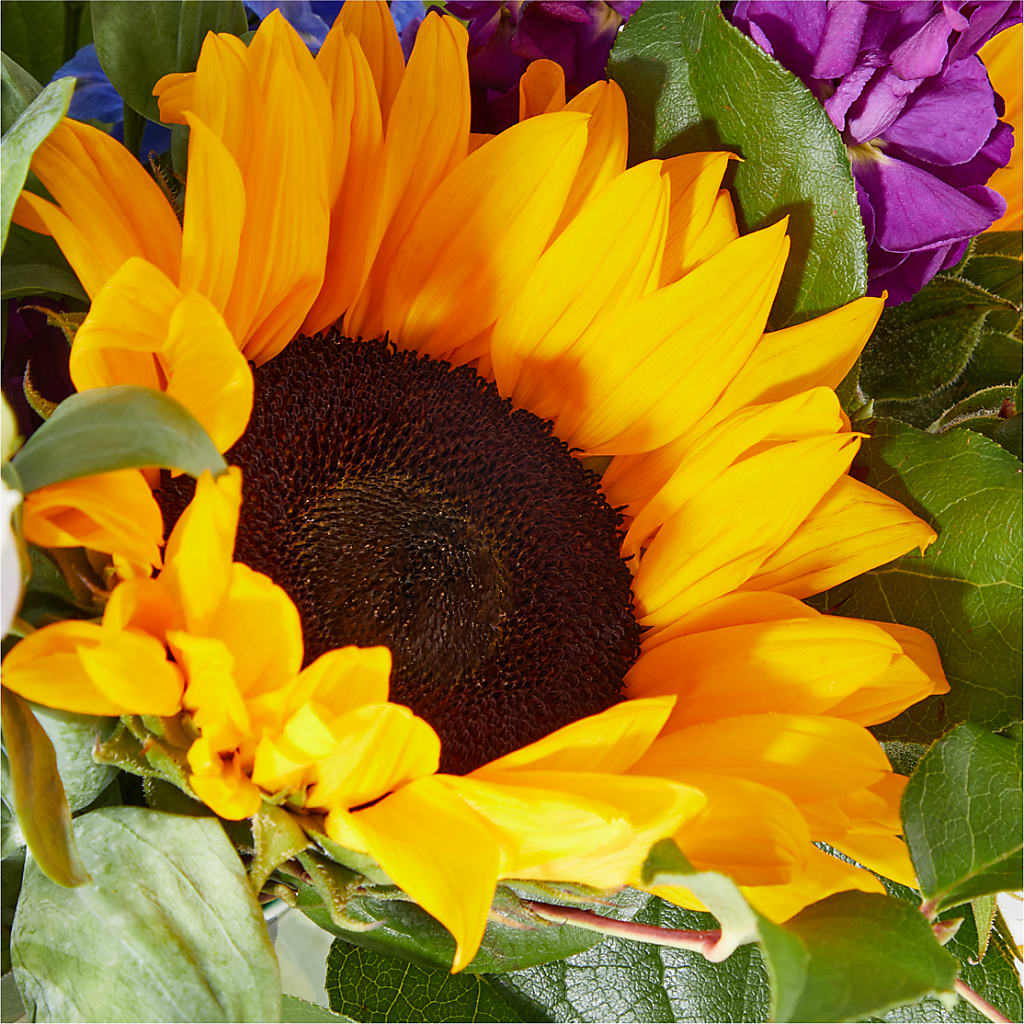 Catching Rays Bouquet – STEMZ FLORIST & TREASURES, Calgary AB