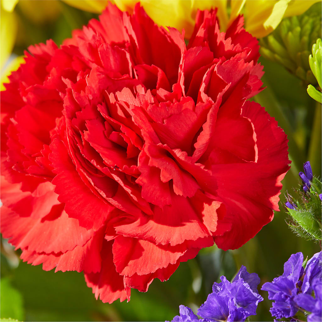 Brighter Days Bouquet – STEMZ FLORIST & TREASURES, Calgary AB