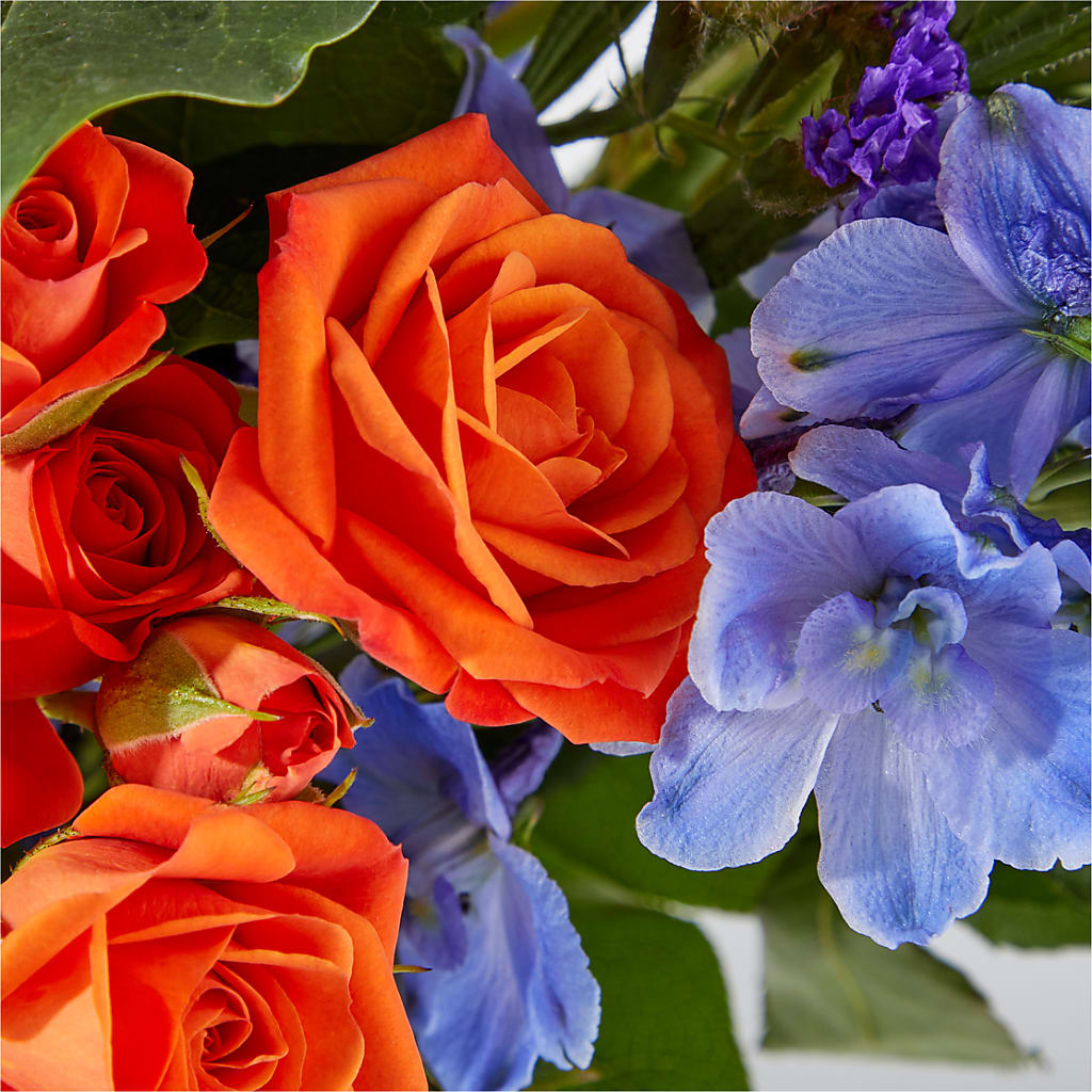 Radiant Citrus Bouquet – STEMZ FLORIST & TREASURES, Calgary AB
