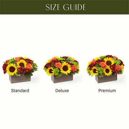 Happy Harvest Garden – STEMZ FLORIST & TREASURES, Calgary AB