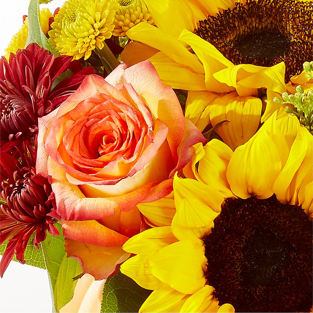 Golden Gourd Pumpkin Bouquet – STEMZ FLORIST & TREASURES, Calgary AB