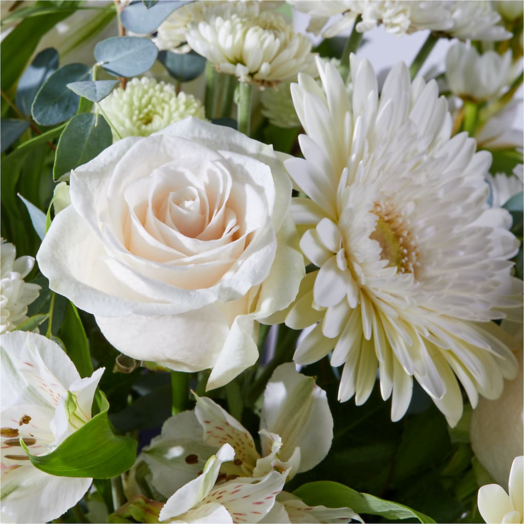 New Beginnings – A Florist Original – STEMZ FLORIST & TREASURES, Calgary AB