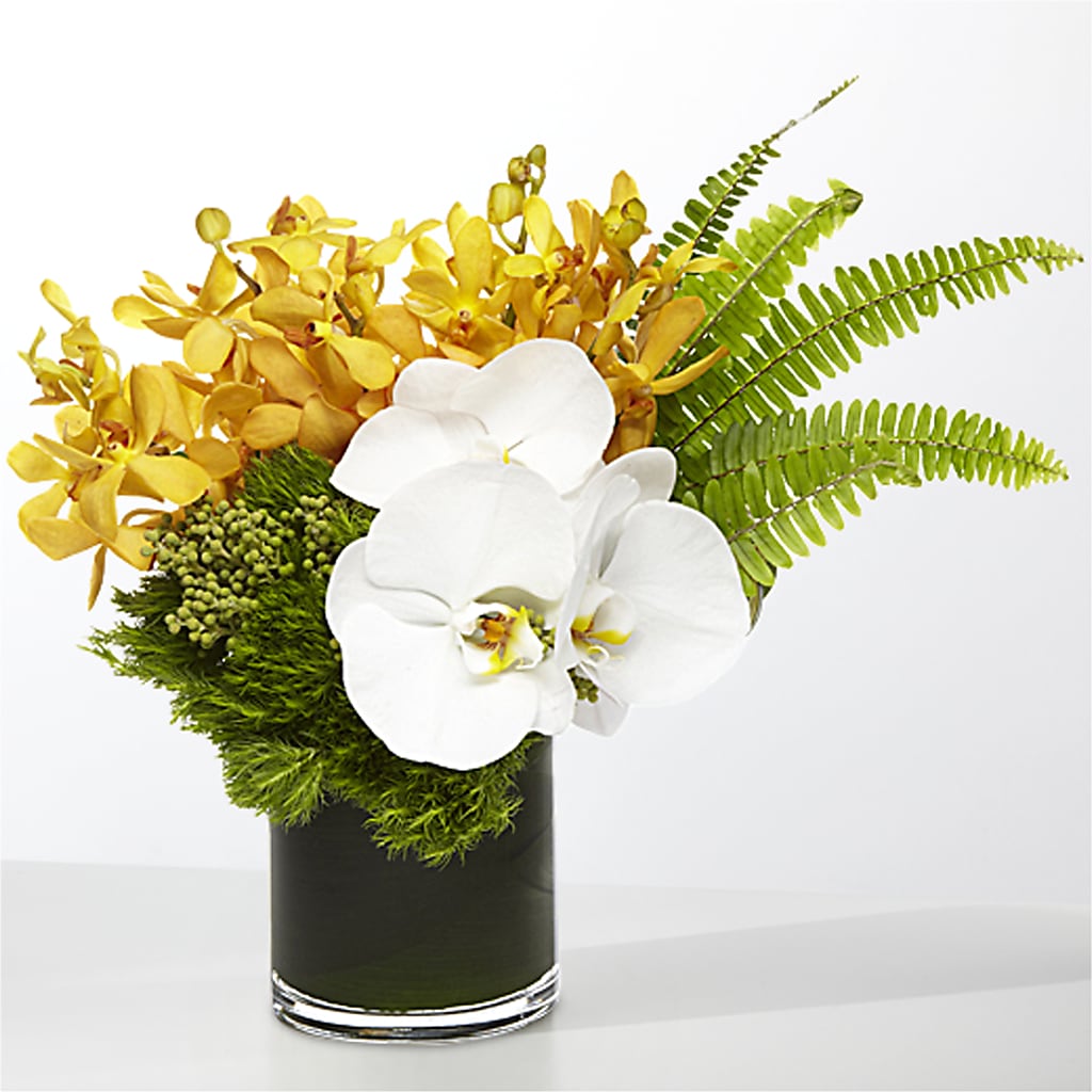 The Tropics – STEMZ FLORIST & TREASURES, Calgary AB