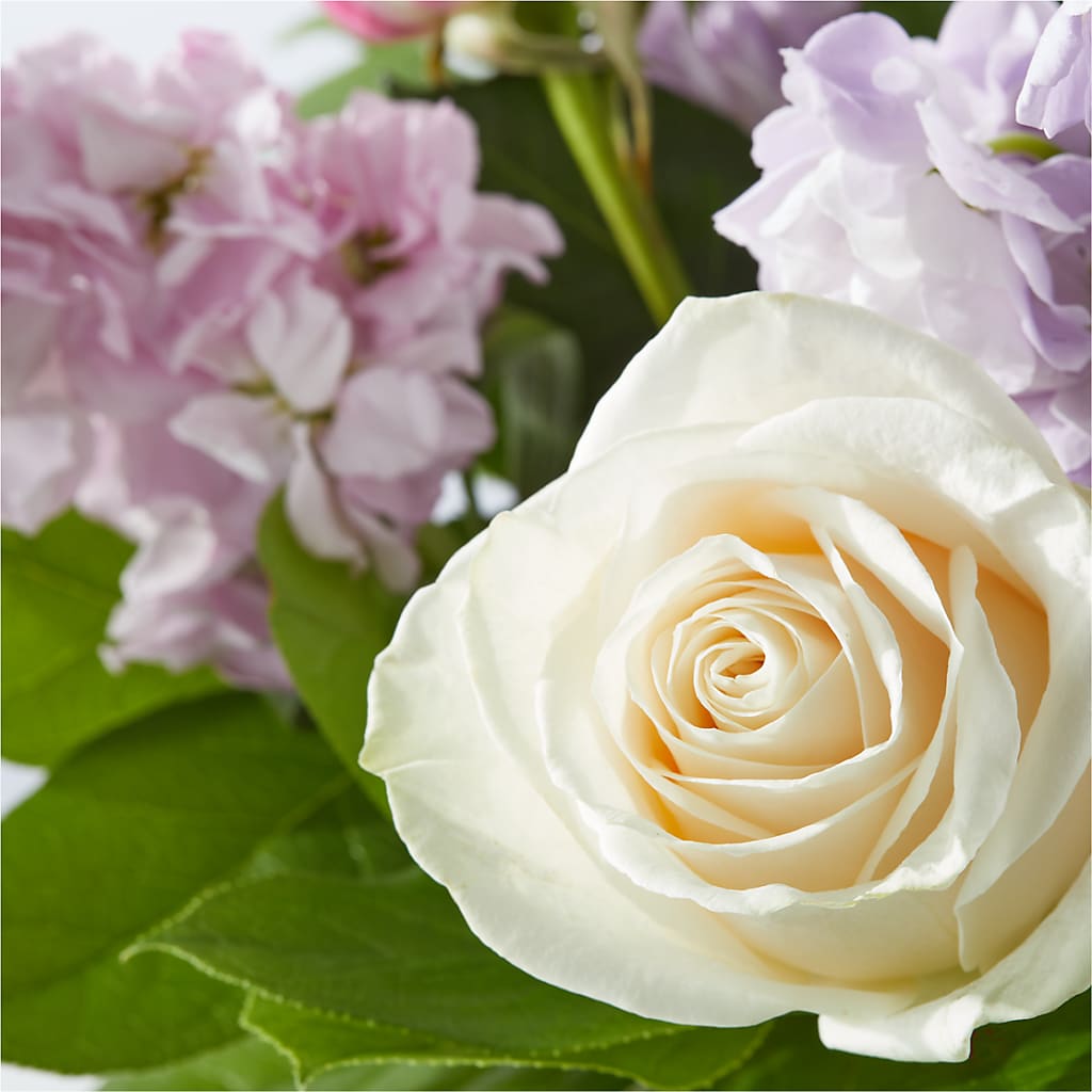 Springtime Spritz Bouquet – STEMZ FLORIST & TREASURES, Calgary AB